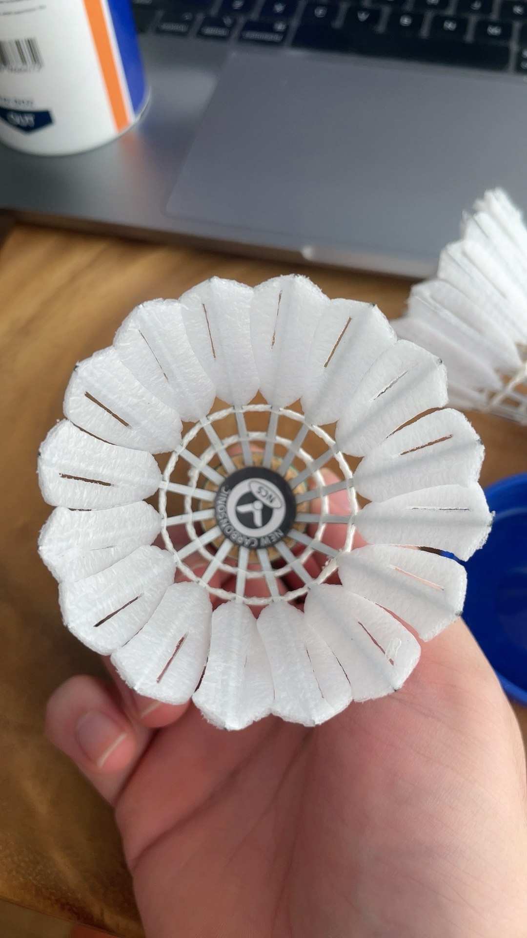 建立起来的 建立起来的